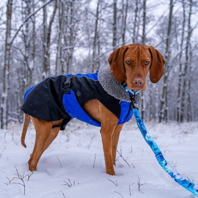 Load image into Gallery viewer, Glacier Insulated Dog Parka (Winter Coat)
