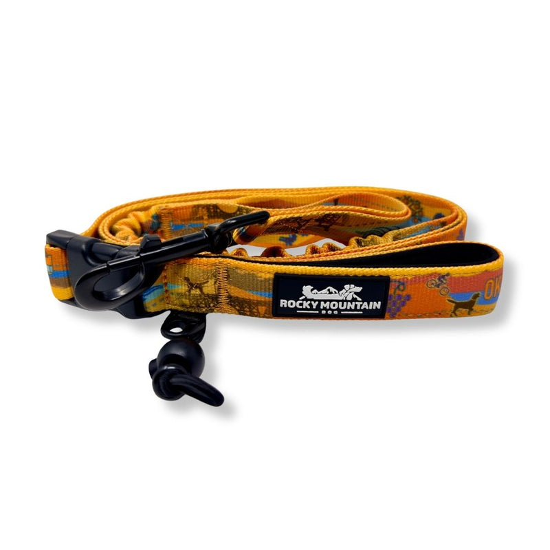 Load image into Gallery viewer, Okanagan All Mountain Dog Leash
