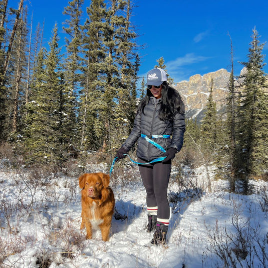 Woman walking a nova scotia duck tolling retriever on a blue dog leash in the snow in castle mountain viewpoint, banff, ab