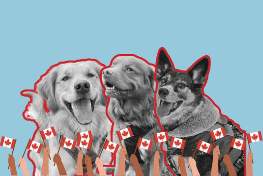 REVERSE TARIFFS SALE