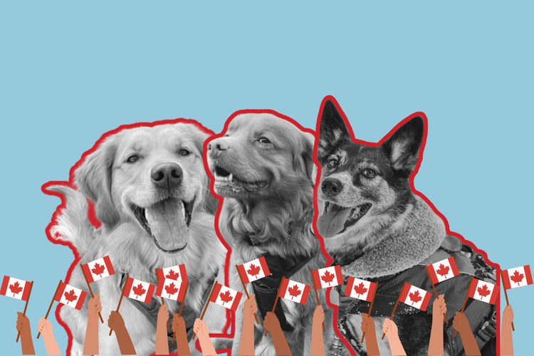 REVERSE TARIFFS SALE