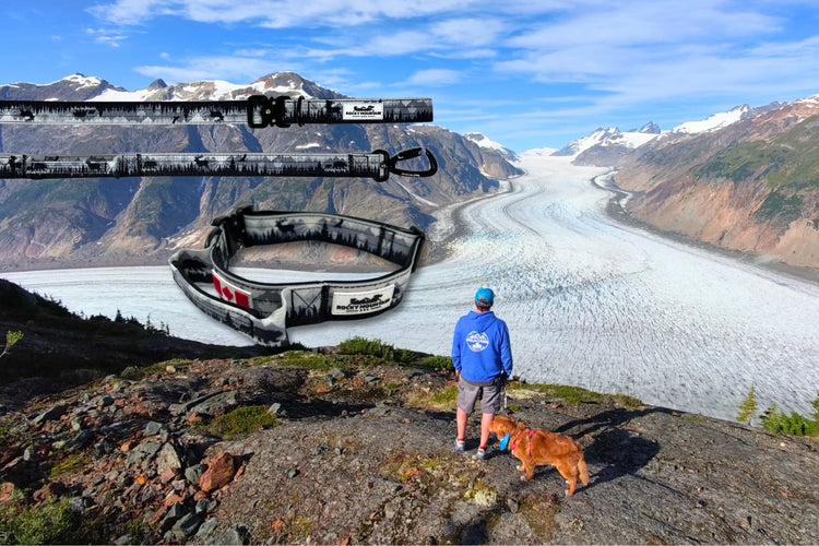 THE WILD LEASH & COLLAR