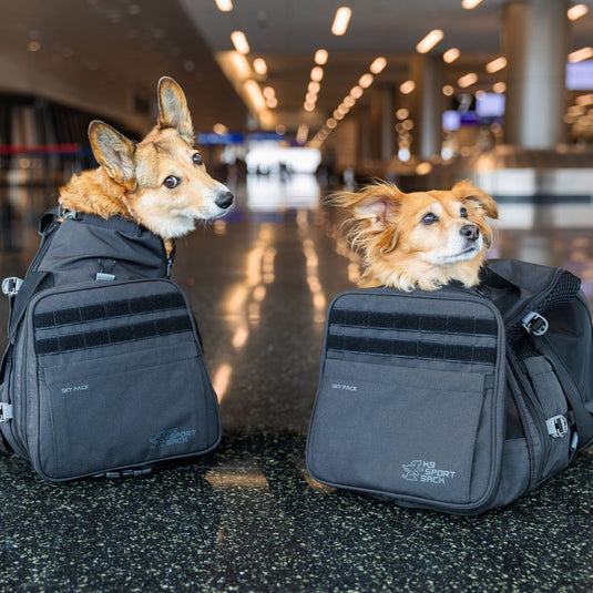 K9 Sport Sack® Sky Pack