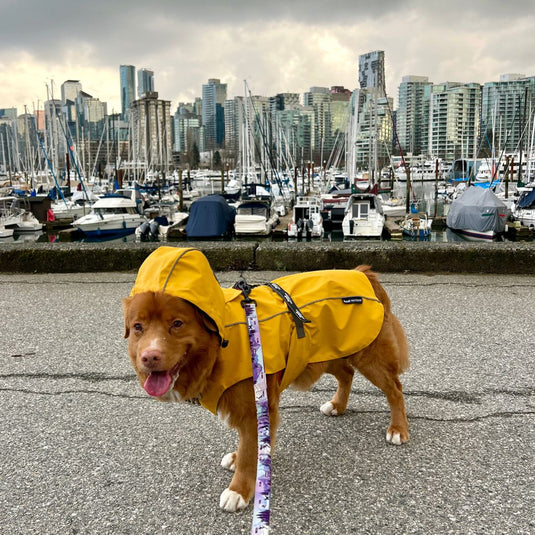 Tofino Rain Jacket