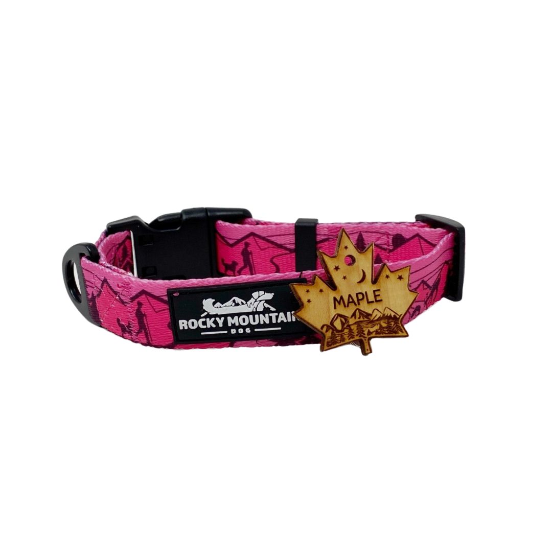 Rocky Mountain Dog Collar & Pet ID Tag Set from Alpine Paws RMD