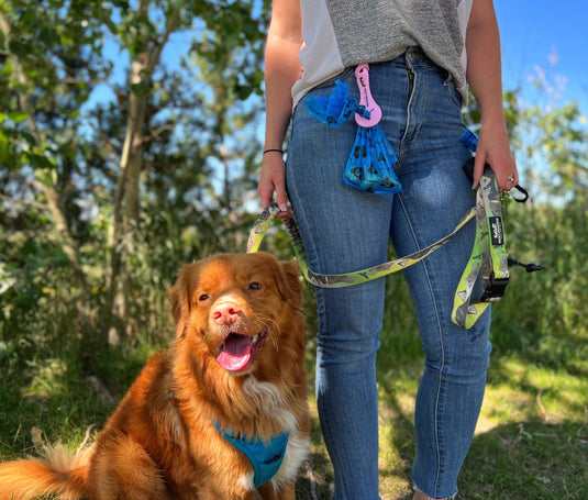 2Pcs Dog Poop Bag Holder for Any Dog Leash and Poop bag, Waste Bag  Dispenser, Dog Poop Bag Dispenser with Metal Hook Can Be Regarded As Dog  Treat