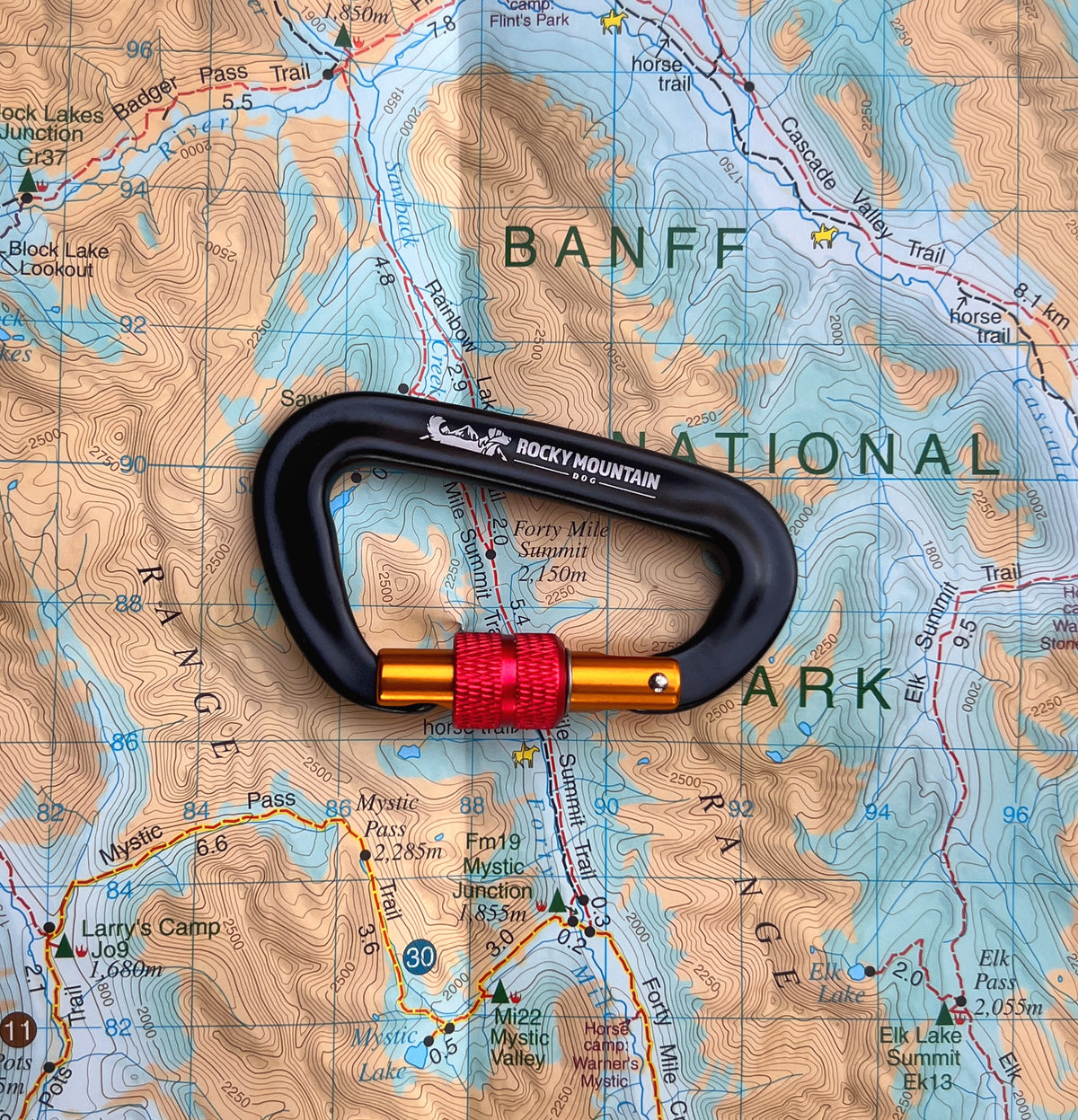 RMD Carabiner
