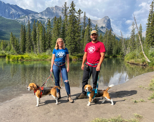 Men's Dog Walking T-Shirt, Rocky Mountain Dog