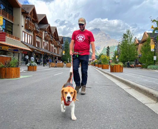 Men's Dog Walking T-Shirt