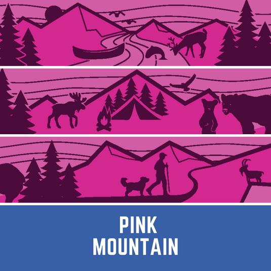 pink mountain leash