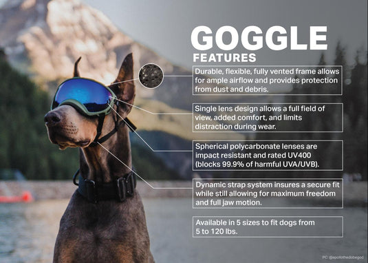 V2 Extra Small Dog Goggles
