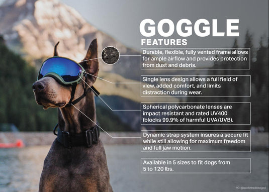 rex specs goggles Rex Specs Extra Small Dog Goggles Sold by Rocky Mountain Dog in Canada
