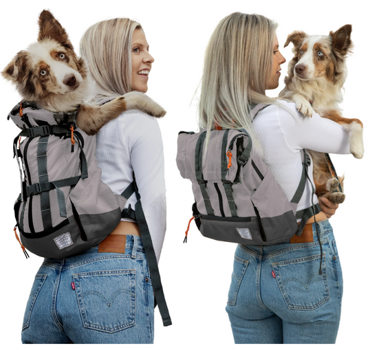 Dog book bag hot sale