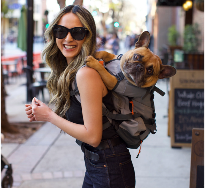 Dog carrier for clearance hiking