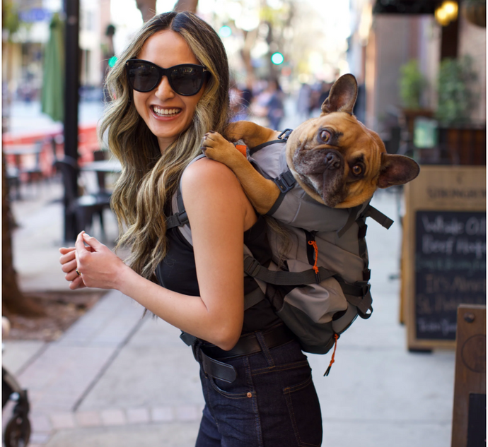 Urban 3 - K9 Sport Backpack