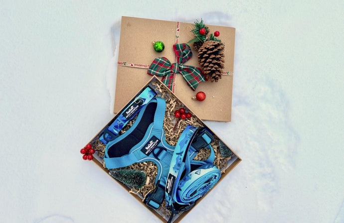 Two Turtle Doves - Christmas Hiking Bundles (3 items)