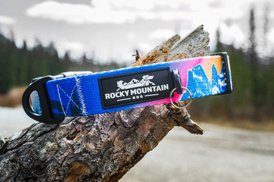Canmore alpine dog collar by Rocky Mountain dog