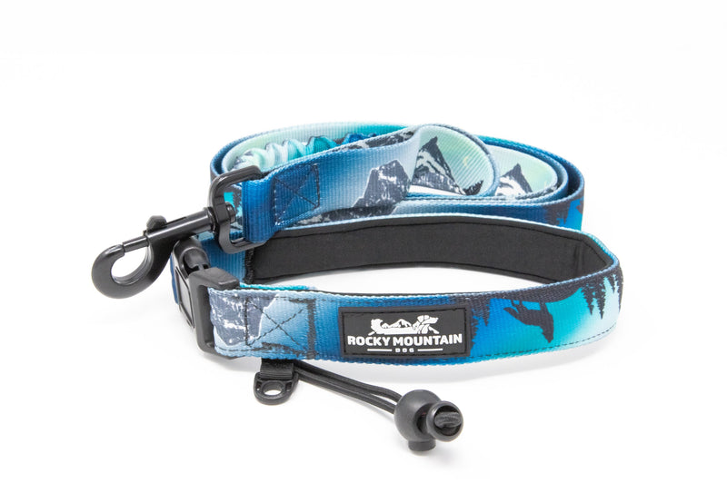 Load image into Gallery viewer, Canmore all-mountain leash by Rocky Mountain Dog
