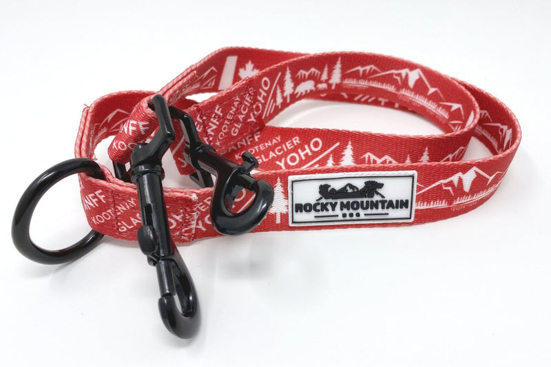 Load image into Gallery viewer, Canadian Rockies Double Dog Leash Extension
