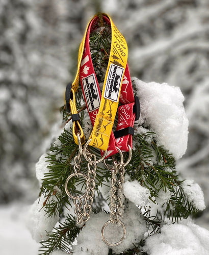 canadian rockies martingale dog collar red and yellow