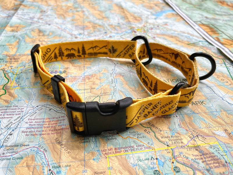 Load image into Gallery viewer, Canadian Rockies Martingale Clip Collar
